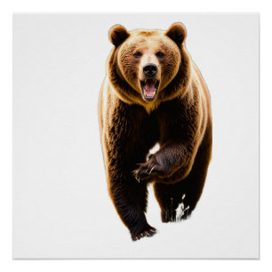 Poster attaque d'ours grizzly un homme dans le dos 8k sur