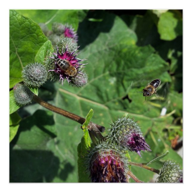 Poster attends-moi (Devant)