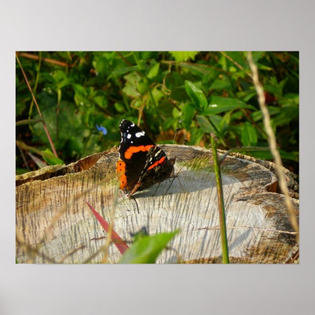 Poster Attente (Devant)