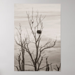 Poster Attente de la vie