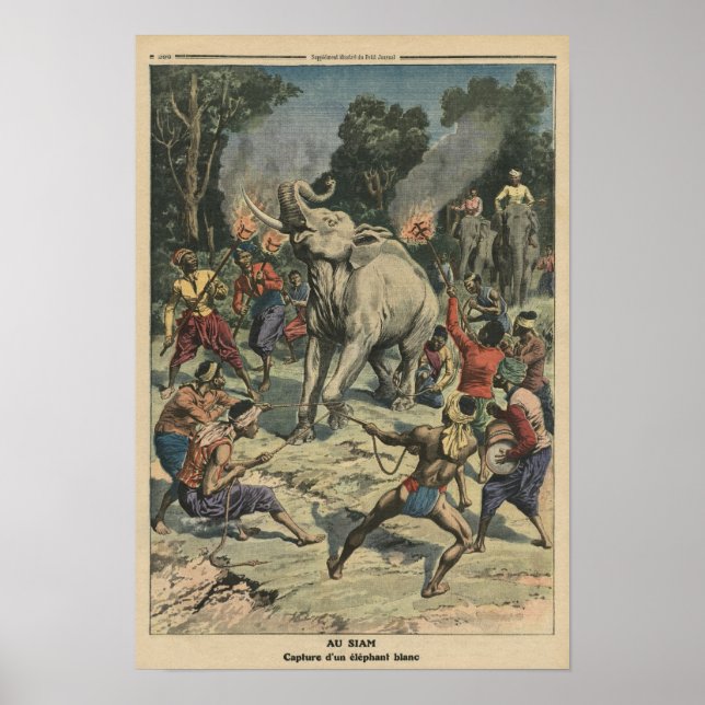 Poster Attraper un éléphant blanc à Siam (Devant)