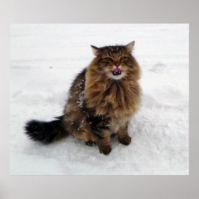 Poster Attraper un flocon de neige (Devant)