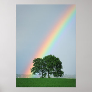 Poster Au bout de l'arc-en-ciel...
