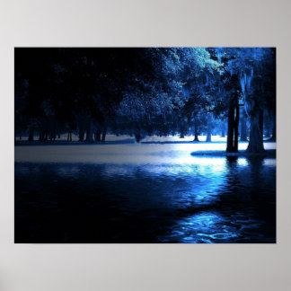 Poster au clair de lune