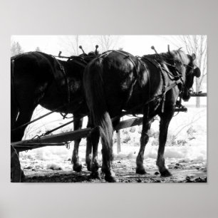 Poster Au poste de tir