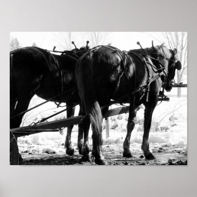 Poster Au poste de tir (Devant)