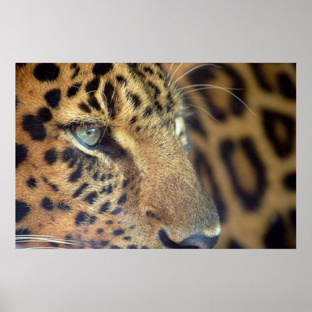 Poster Au revoir... (Devant)