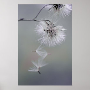 Poster Au Revoir Autumn flower Seeds leaving CC0116