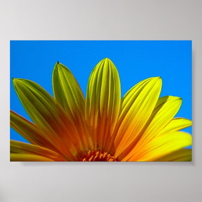 Poster Augmenter (Devant)