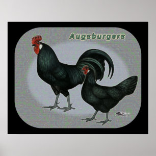 Poster Augsburger Fowl