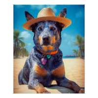 Australian Cattle on Beach, cadeau d'été des amour