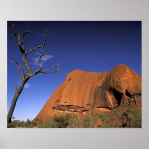 Poster Australie, parc national d'Uluru Kata Tjuta, Uluru
