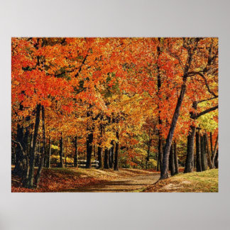 Poster Automne 30 bumpé