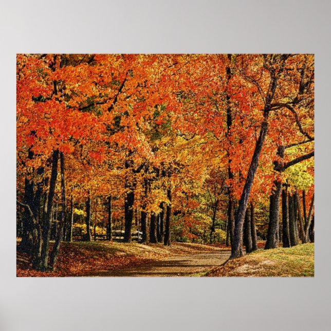 Poster Automne 30 bumpé (Devant)