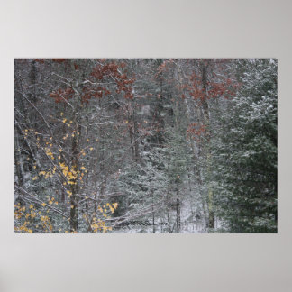 Poster Automne avant l'hiver