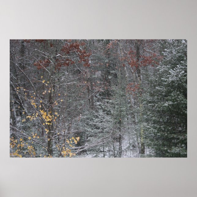 Poster Automne avant l'hiver (Devant)