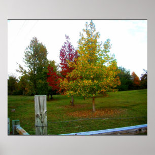 Poster Automne dans le Missouri