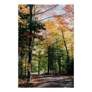 Poster Automne dans le parc Algonquin, Canada