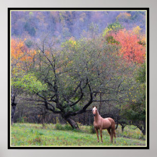 Poster Automne dans le verger du cheval
