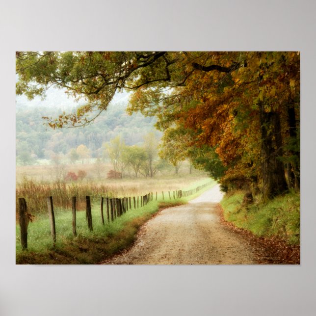 Poster Automne sur une route de campagne (Devant)
