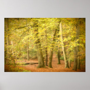 Poster Automne Woodland (4364)
