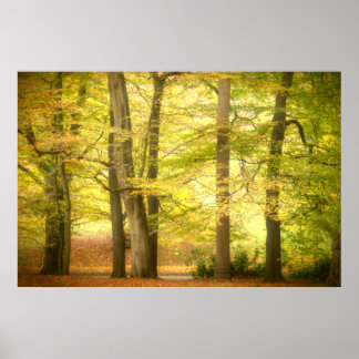 Poster Automne Woodland (4391)