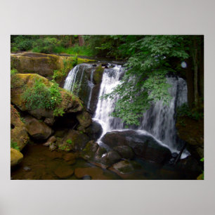 Poster Automnes de Whatcom