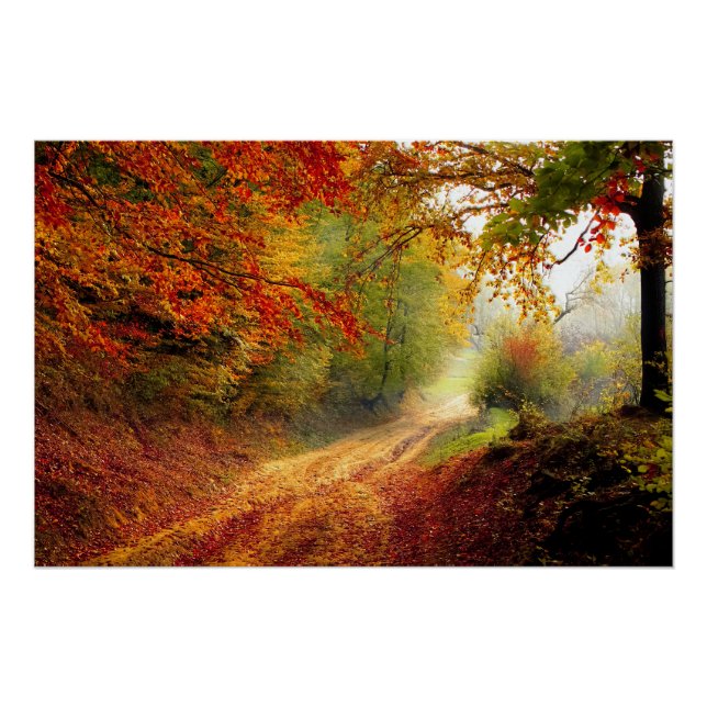 Poster Autumn Leaves and Trees Covering Dirt Road (Devant)