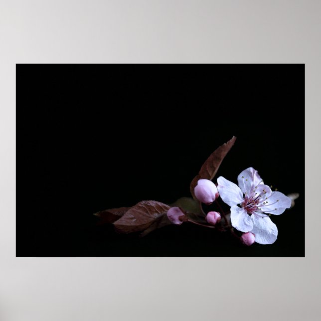Poster aux fleurs délicates (Devant)