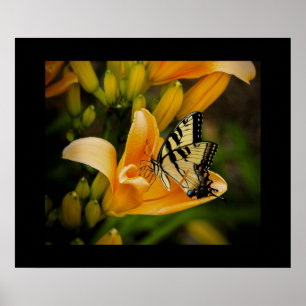 Poster aux papillons