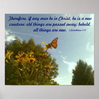 Poster aux papillons