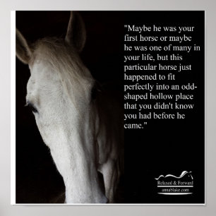 Poster avec Anna Blake Citation sur les chevaux.