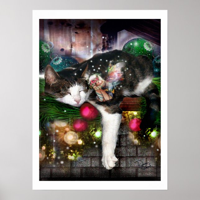 Poster Avec des visions de SugarPlums (Devant)