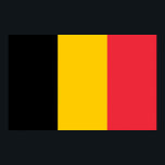 Poster avec Drapeau de Belgique<br><div class="desc">Ajoutez une touche de fierté belge à votre espace grâce à notre affiche exclusive avec le drapeau de la Belgique ! Réalisée avec une attention minutieuse aux détails, cette affiche est plus qu’un simple objet décoratif, c’est une célébration du riche patrimoine et de la fierté culturelle de la Belgique. L'élégant...</div>