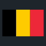 Poster avec Drapeau de Belgique<br><div class="desc">Ajoutez une touche de fierté belge à votre espace grâce à notre affiche exclusive avec le drapeau de la Belgique ! Réalisée avec une attention minutieuse aux détails, cette affiche est plus qu’un simple objet décoratif, c’est une célébration du riche patrimoine et de la fierté culturelle de la Belgique. L'élégant...</div>