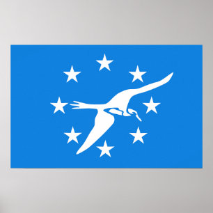 Poster avec Drapeau de Corpus Christi, USA