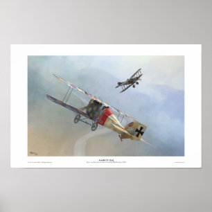 Poster Aviatik D.I