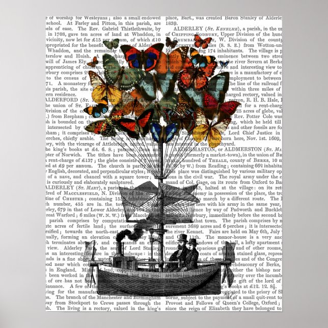 Poster Avion papillon (Devant)