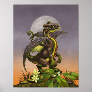 Poster Avocado Dragon 11x14 (4x6 et supérieur)