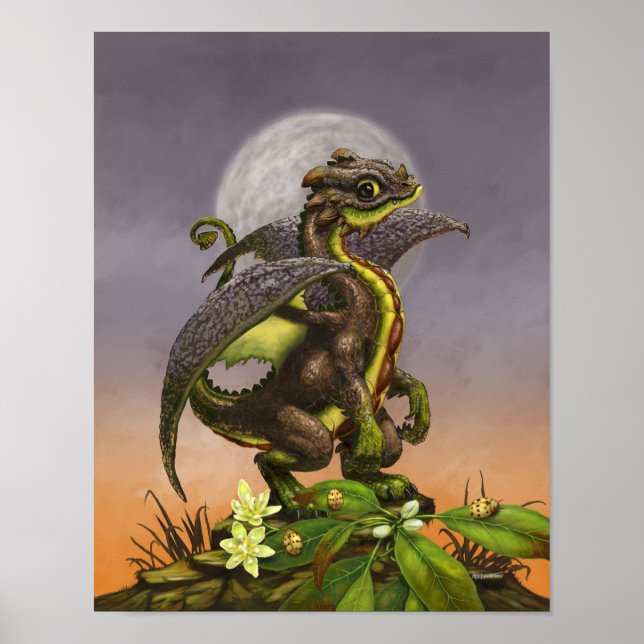 Poster Avocado Dragon 11x14 (4x6 et supérieur) (Devant)