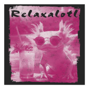 Poster Axolotl rose détendu