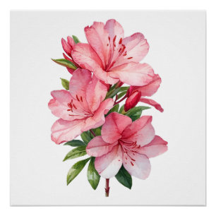 Poster Azalea peinture aquarelle