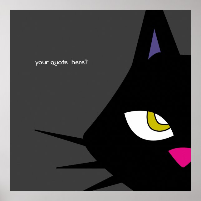 POSTER B-CAT (Devant)