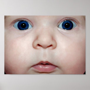 Poster Baby Augen