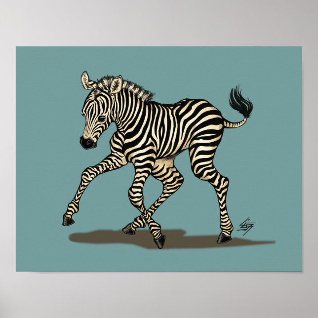 Poster Baby zebra on blue background (Devant)