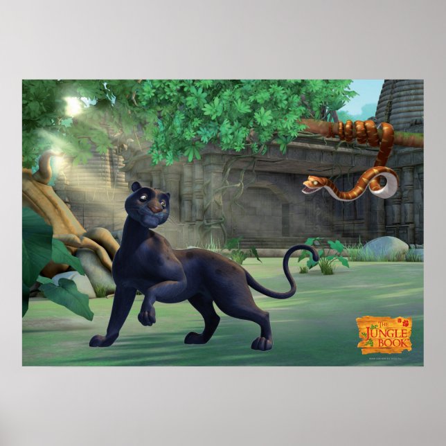Poster Bagheera 3 2 (Devant)