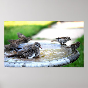 Poster Bain Communal