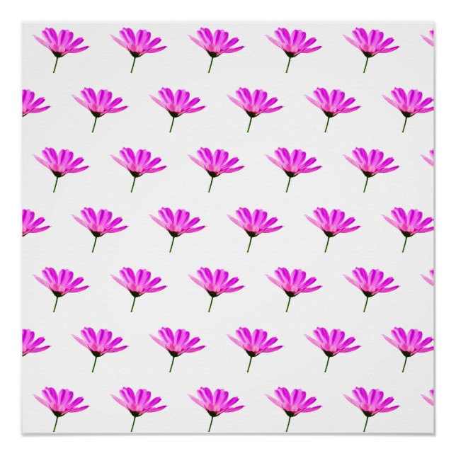 Poster Baise rose (Devant)