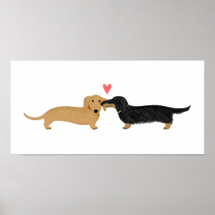 Poster Baiser de teckel avec cœur