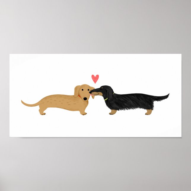 Poster Baiser de teckel avec cœur (Devant)